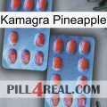 Kamagra Pineapple 05